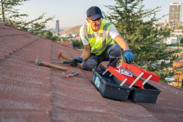 Best Carpet Removal and Disposal  in Willow Oak, FL